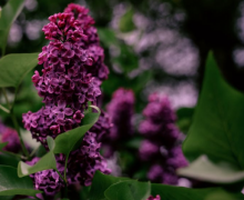 二婚夫妻能过好吗,二婚生活日常经营