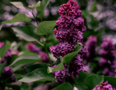 如何挽回夫妻情感,夫妻出现问题时应该如何处理?